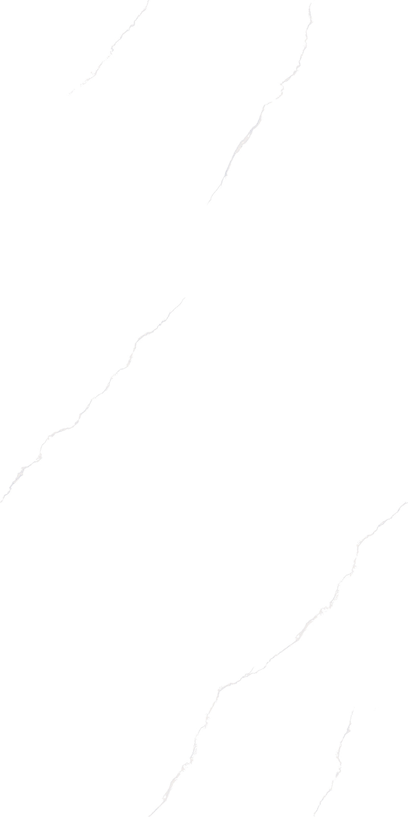 YCL48004
